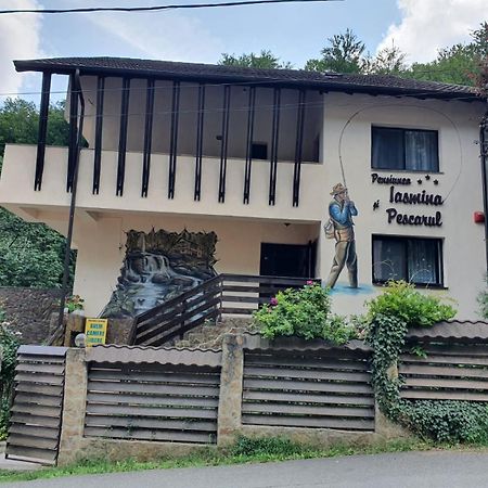 Pensiunea Iasmina Si Pescarul Călimăneşti Eksteriør billede